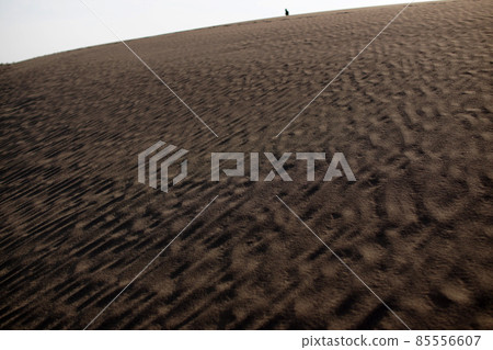 Tottori four seasons walk spring sand dunes 85556607