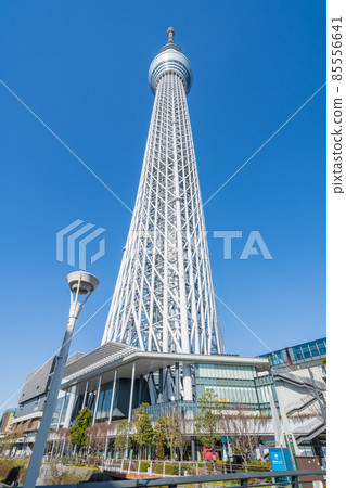 東京晴空塔和晴朗的藍天 東京晴空塔和晴朗的藍天 85556641