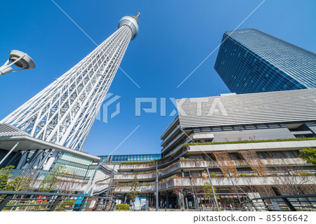 Tokyo Sky Tree and clear blue sky Tokyo Sky Tree and clear blue sky 85556642