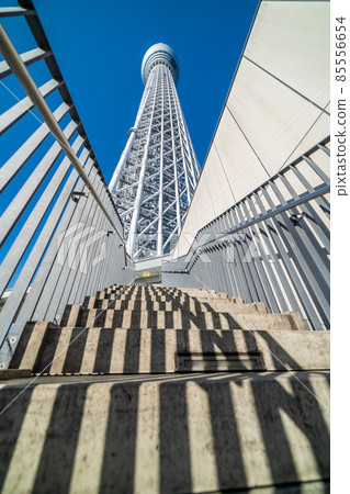 Tokyo Sky Tree and clear blue sky 85556654