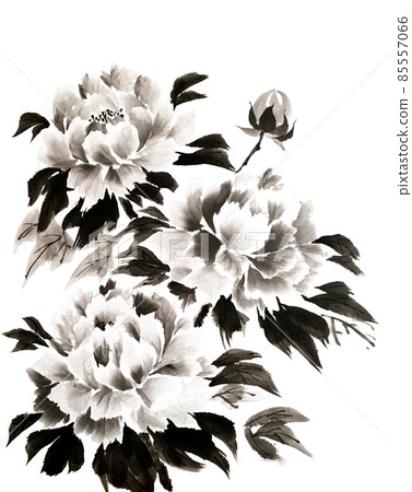 水墨画 鬆石牡丹圖 清代 水墨画 鬆石牡丹圖 清代 中國水墨畫-黑牡丹-Black Peony-Chinese brush