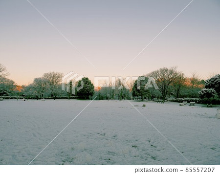 東京多摩市鶴卷西公園有雪 東京多摩市鶴卷西公園有雪 85557207