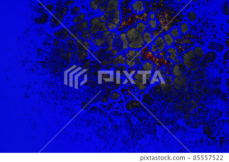 I made a picture of a beautiful pattern with a deep blue color. 85557522