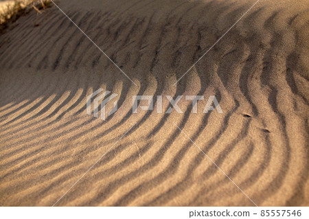 Tottori four seasons walk spring sand dunes 85557546