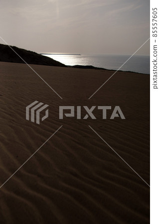 鳥取四個季節走春沙丘 鳥取四個季節走春沙丘 85557605