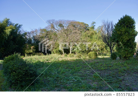 Jigode Ruins: Ruins with a moated settlement during the Yayoi period 85557823