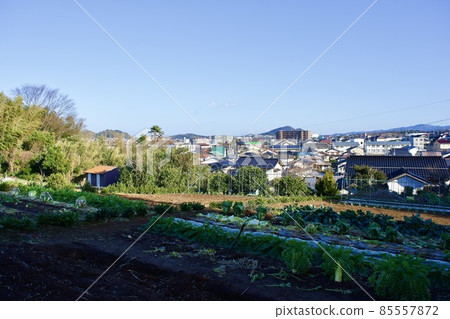 從地宮遺址眺望松江市。彌生時代有護城河的遺址。 85557872