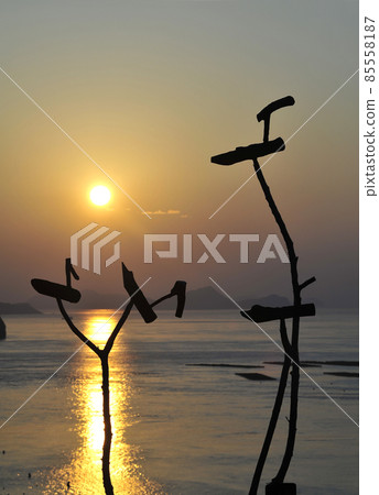 Sottae Sottae 85558187