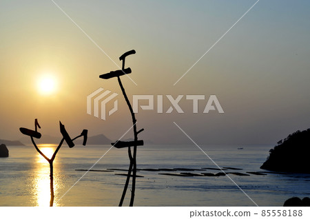 Sottae Sottae 85558188
