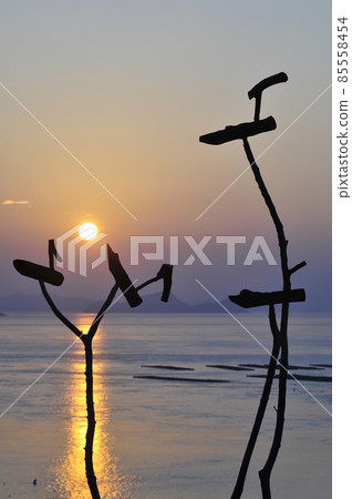 Sottae Sottae 85558454