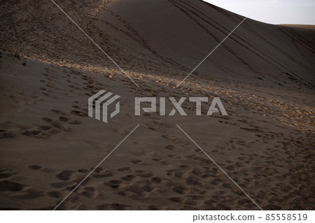 鳥取四個季節走春沙丘 85558519