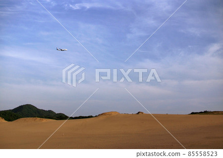 Tottori four seasons walk spring sand dunes 85558523