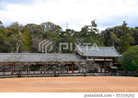 Buildings and sites next to the Great Buddha Hall at Todaiji Temple 85559202