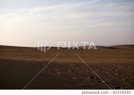 Tottori four seasons walk spring sand dunes Tottori four seasons walk spring sand dunes 85559393