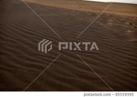 鳥取四個季節走春沙丘 85559395