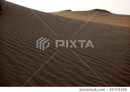 鳥取四個季節走春沙丘 85559396