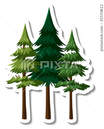 Three pine trees in cartoon style 85559612