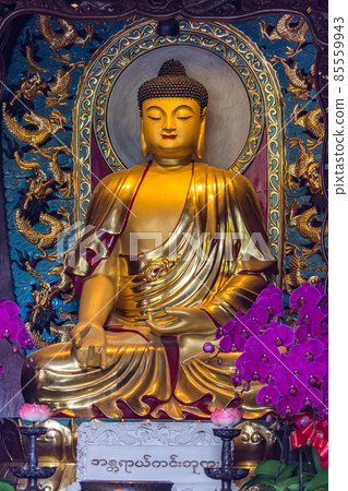 Statue of Sakyamuni Buddha at the Eight Great Temples in Beijing, China Statue of Sakyamuni Buddha at the Eight Great Temples in Beijing, China 85559943