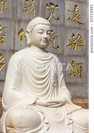 Statue of Sakyamuni Buddha at the Eight Great Temples in Beijing, China Statue of Sakyamuni Buddha at the Eight Great Temples in Beijing, China 85559945