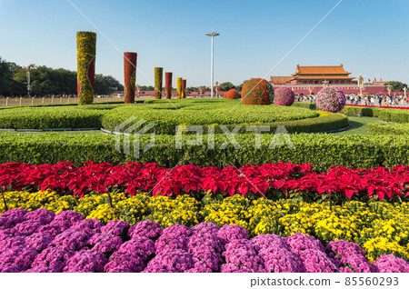 Colorful flower display in Tiananmen in Beijing ahead of a National Day of China 85560293