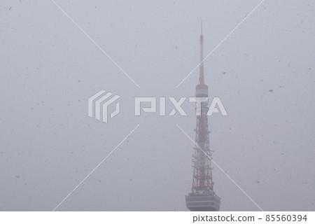 Tokyo Tower where peony snow dances Tokyo Tower where peony snow dances 85560394