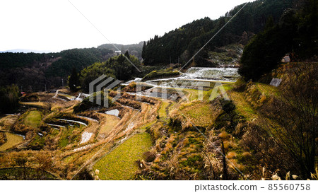 太田梯田 85560758