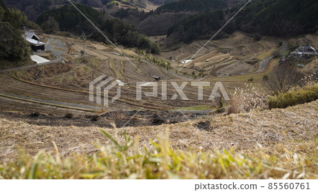 太田梯田 太田梯田 85560761