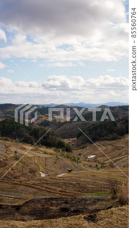 太田梯田 太田梯田 85560764