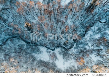 A winding stream of a slice of a winter forest, a view from a great height from a drone A winding stream of a slice of a winter forest, a view from a great height from a drone 85560864