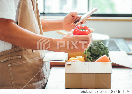 硬紙板蔬菜和男人(智能手機) 硬紙板蔬菜和男人(智能手機) 85561129