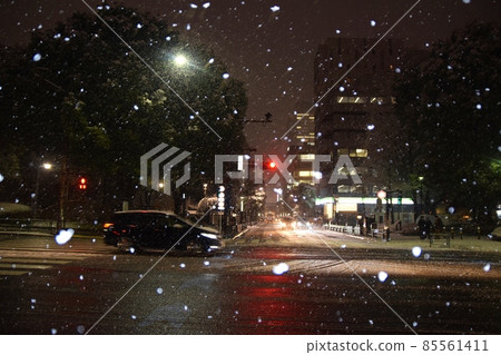 牡丹雪舞的市中心道路 牡丹雪舞的市中心道路 85561411