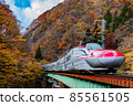 Akita Shinkansen running between autumn leaves 85561505