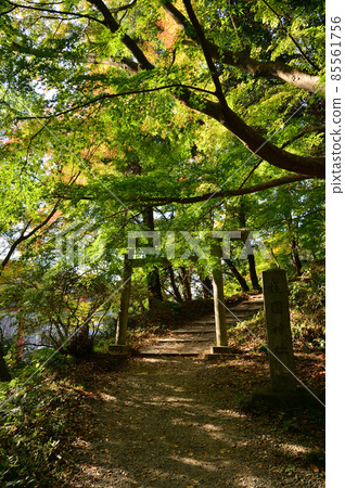 The approach to Gokoku Shrine in Katori Jingu 85561756