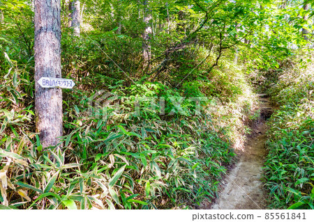 Hinatayama Climbing: 山路 85561841