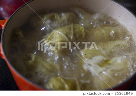 煮捲心菜 煮捲心菜 85561949