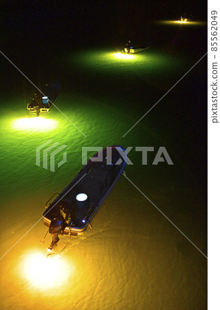 Fantastic light glass eel fishing floating on the river surface of the new moon Fantastic light glass eel fishing floating on the river surface of the new moon 85562049
