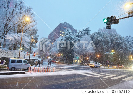 牡丹雪落下的東京塔前十字路口 85562310