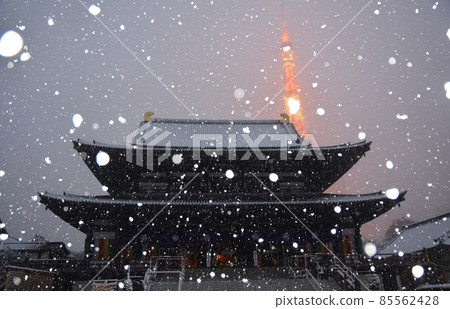 Zojoji Temple and Tokyo Tower in the Snow Zojoji Temple and Tokyo Tower in the Snow 85562428