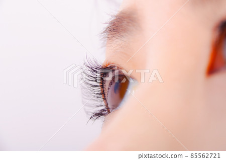 Close-up of female eyes 85562721