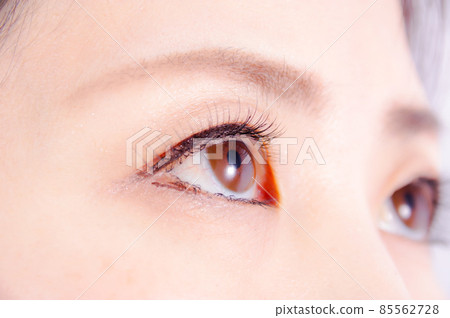 Close-up of female eyes 85562728