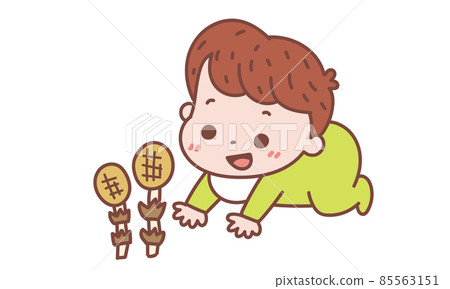 Horsetail and baby 85563151