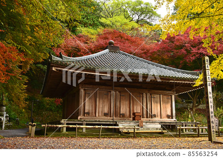 大分縣國東半島的富士寺的秋葉 大分縣國東半島的富士寺的秋葉 85563254