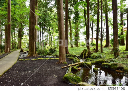 Mt. Fuji East Exit Hongu/Subashiri Trail Ascending Route Fuji Sengen Shrine Asama Forest Walking Path and Waterway Mt. Fuji East Exit Hongu/Subashiri Trail Ascending Route Fuji Sengen Shrine Asama Forest Walking Path and Waterway 85563408