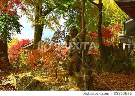 Autumn leaves of Choanji Temple on the Kunisaki Peninsula, Oita Prefecture 85563656