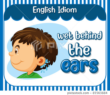 English idiom with picture description for wet behind the ears 85563884