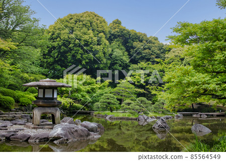 Tokyo, Old Koga Garden, Shinji Pond, National Scenic Spot Tokyo, Old Koga Garden, Shinji Pond, National Scenic Spot 85564549