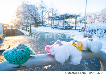 Snow Ryonan Park Snow Ryonan Park 85565635
