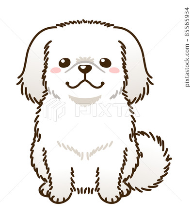 北京犬(白) 北京犬(白) 85565934