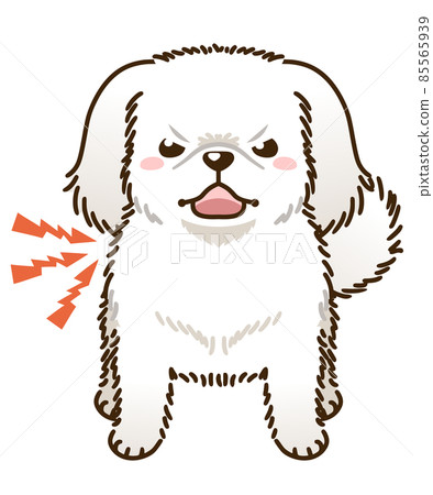 來勢洶洶的北京犬(白) 來勢洶洶的北京犬(白) 85565939