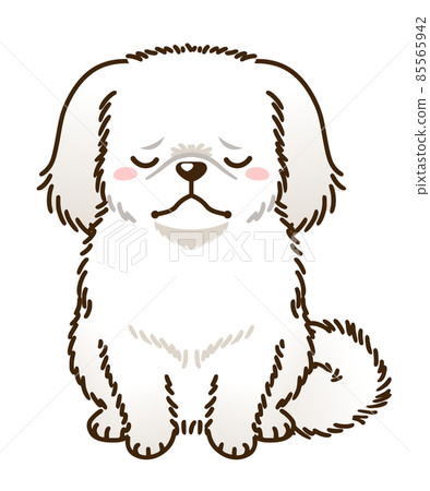 鬱悶的北京犬(白) 鬱悶的北京犬(白) 85565942